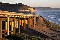 Torrey Pines State Beach
