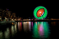 Seattle Skyline/Great Wheel from Seattle Aquarium at Night
