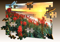 La Jolla Aloe Flowers 3D Puzzle Composite