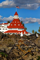 Hotel Del Coronado w Rocks/Seagull