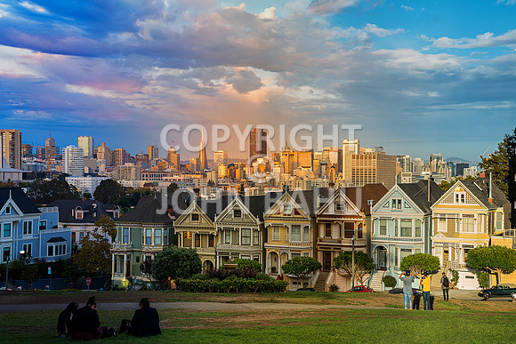 Painted Ladies/San Francisco Day/Golden Hour/Dusk Blend