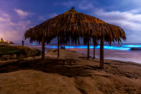 Windansea Beach Bioluminescence