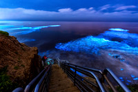 Sunset Cliffs Steps Bioluminescence 2