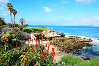 La Jolla Cove