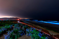 Torrey Pines State Beach Bioluminescence View