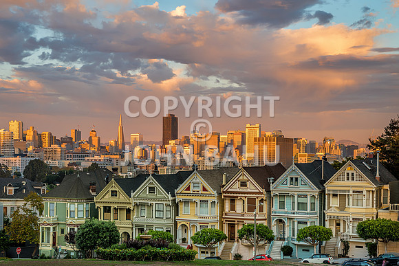 Painted Ladies/San Francisco Golden Hour