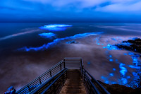 Sunset Cliffs Steps Bioluminescence